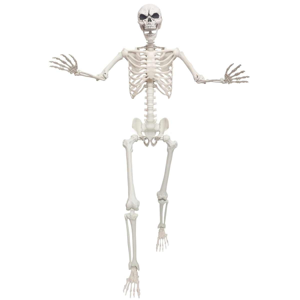 5.4ft Life Size Skeleton with Movable Joints M5292