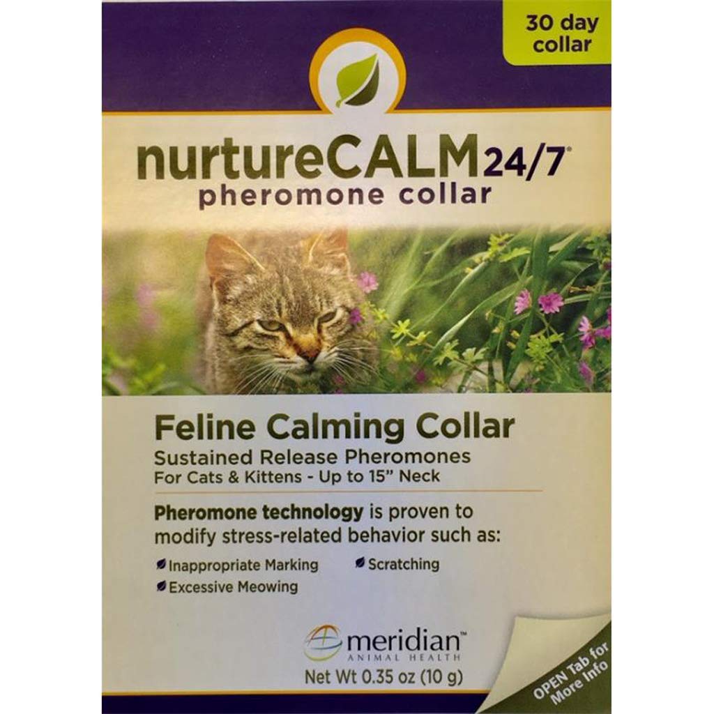 Feline Calming Pheromone Collar I14423