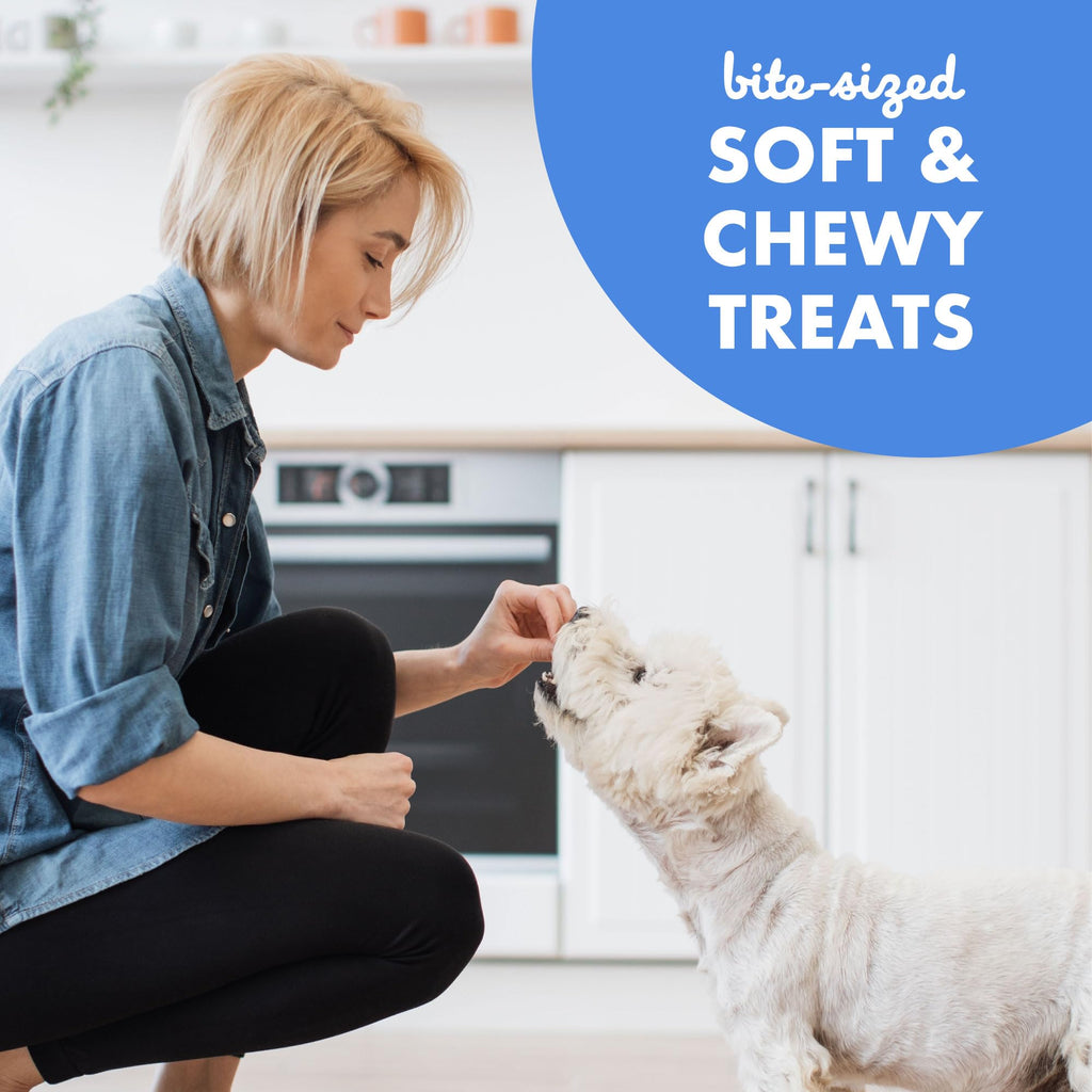 Soft & Chewy Bacon Dog Treats 10 oz U695550