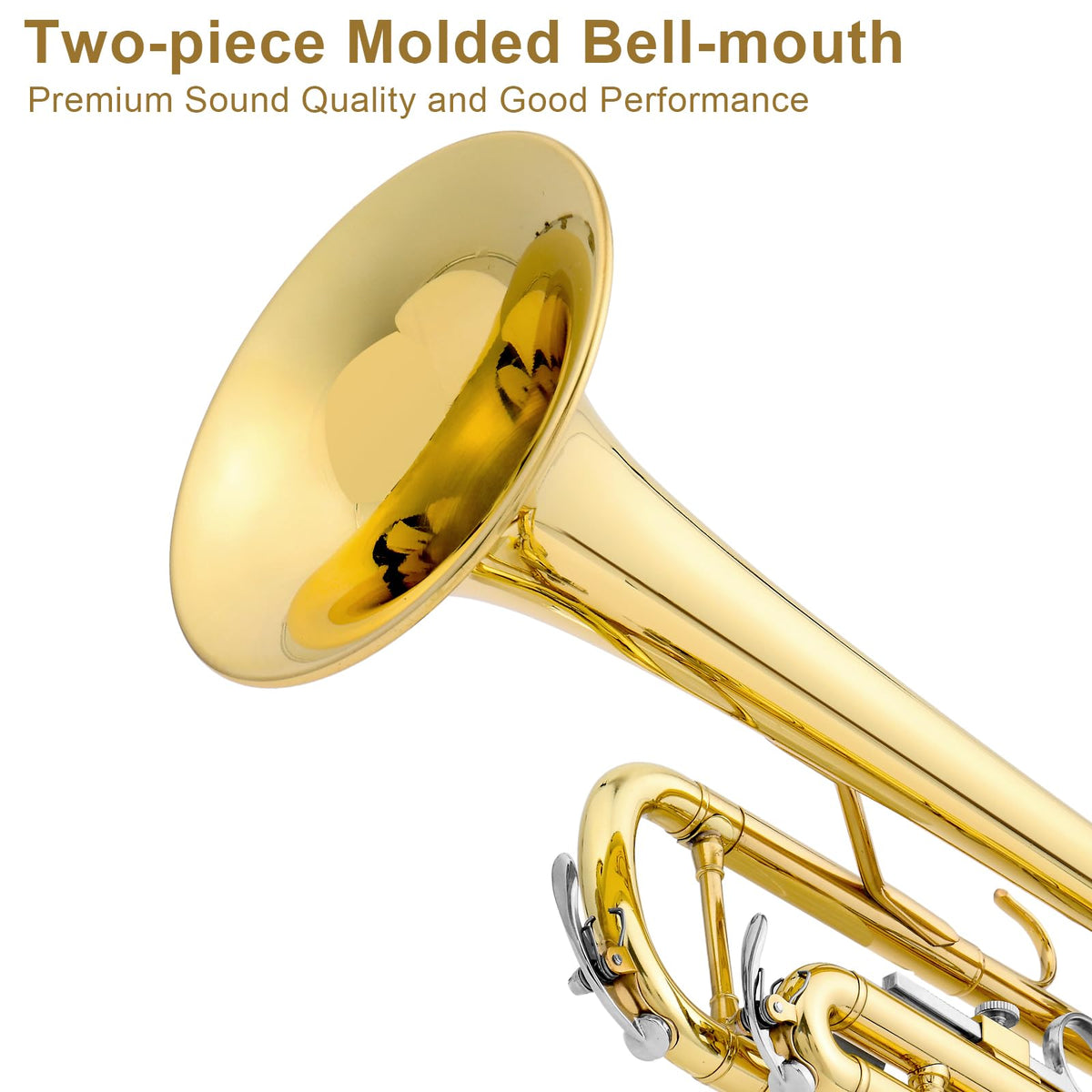 Bb Standard Trumpet Set Z389328