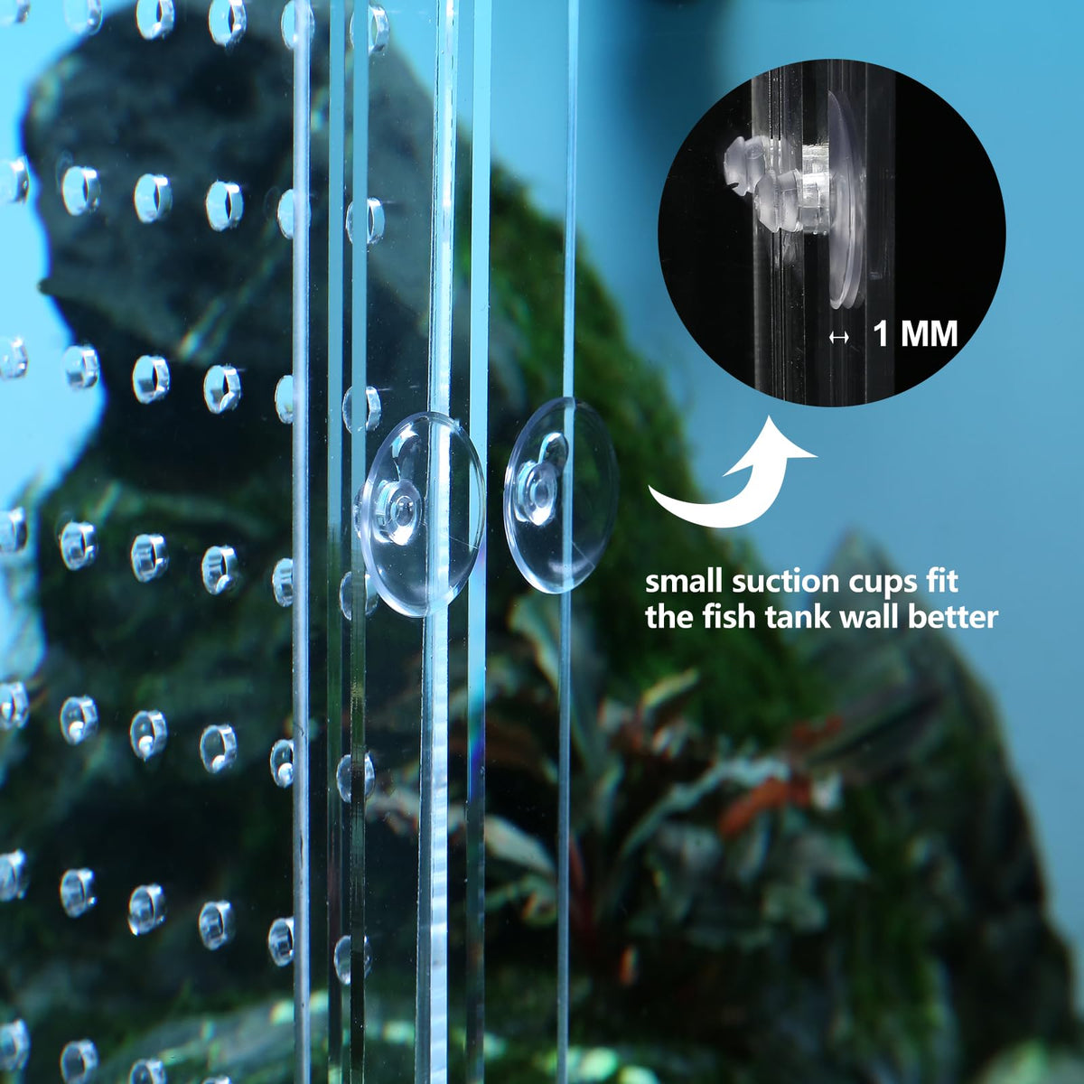 Acrylic Fish Tank Divider with Suction Cups H42526