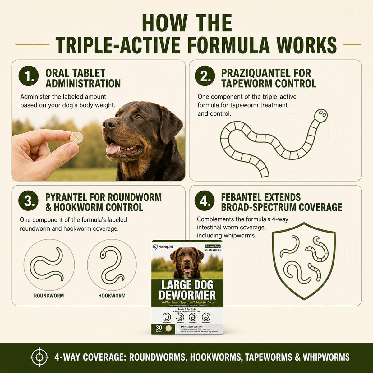 Medium and Large Dog Dewormer Tablets G30058