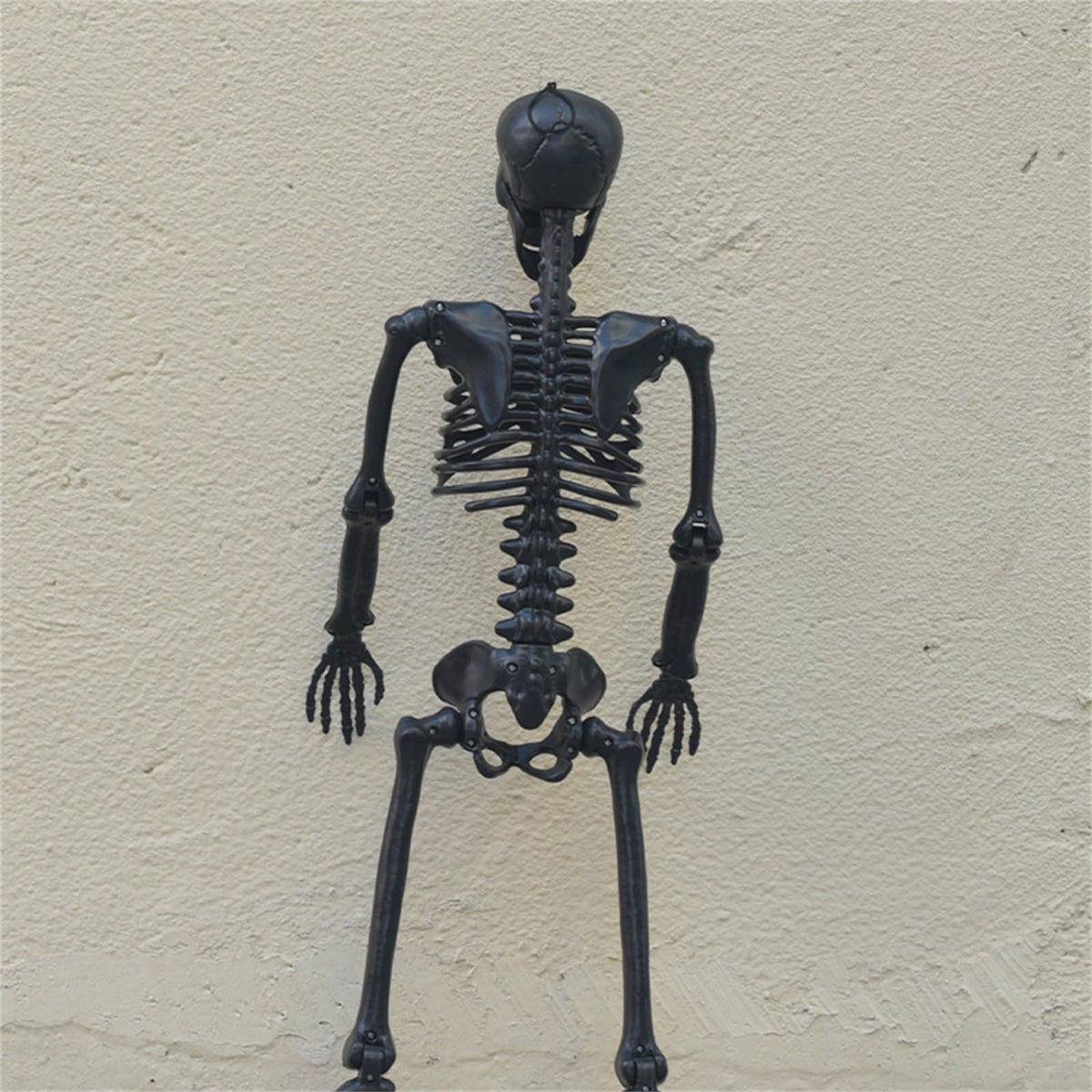 Halloween Human Skeleton Decorations, 35.4" Posable Full Body Skeleton K858661