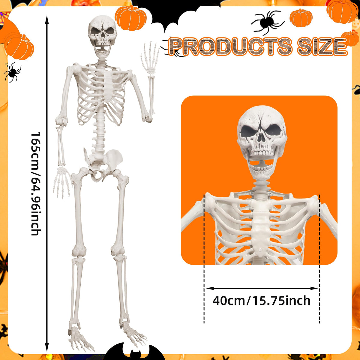 5.4ft Life Size Skeleton with Movable Joints M5292