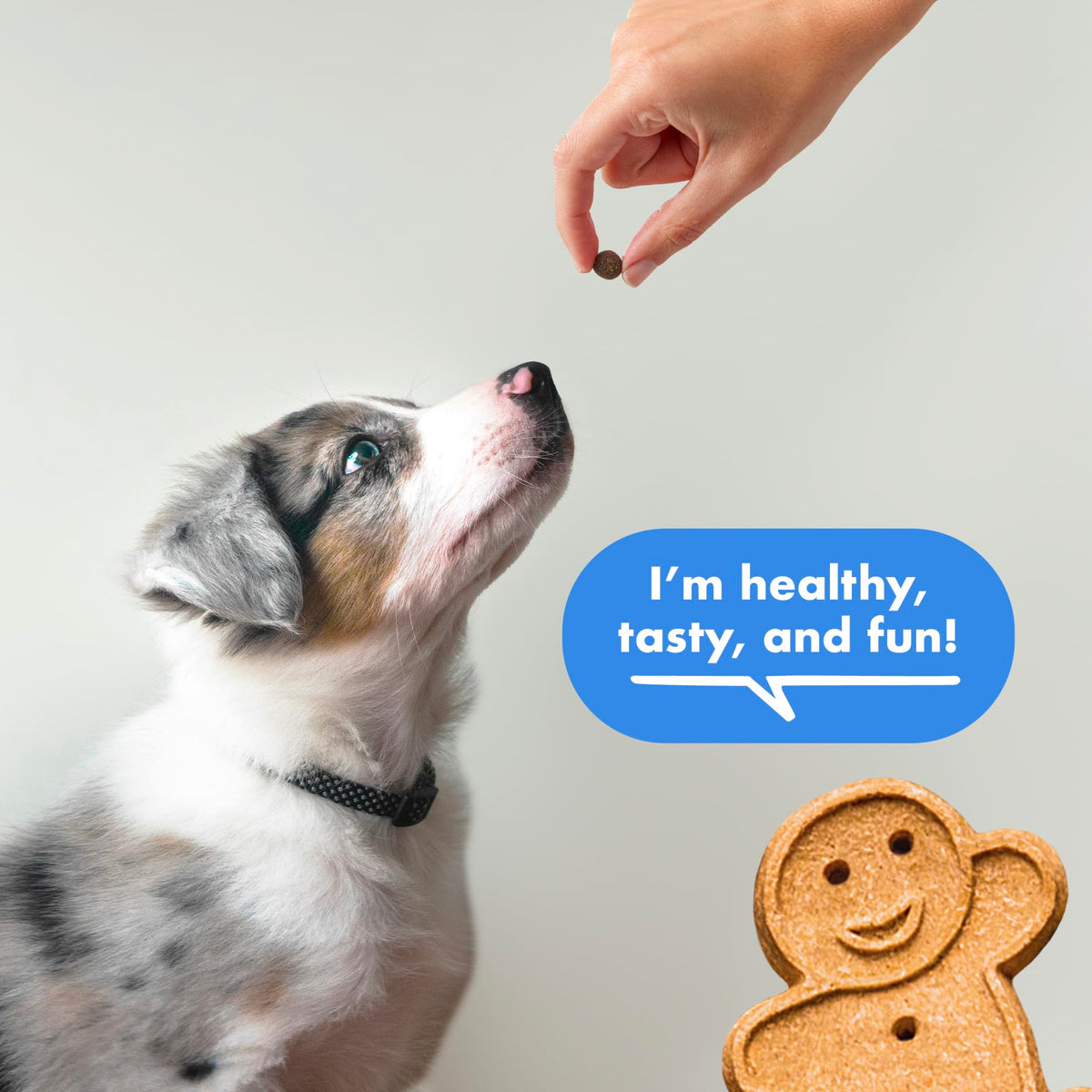 Soft & Chewy Bacon Dog Treats 10 oz U695550