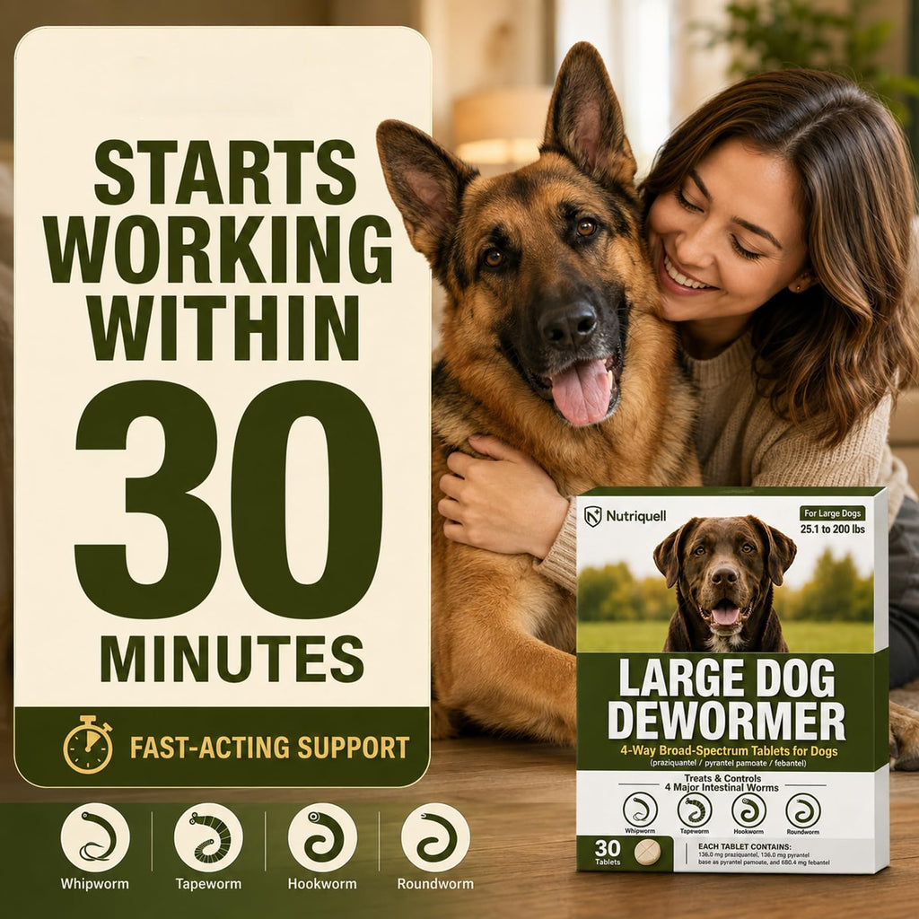 Medium and Large Dog Dewormer Tablets G30058