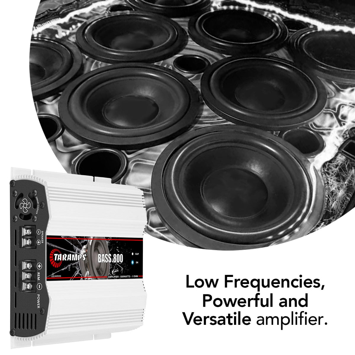 1 Ohm 800W RMS Monoblock Car Subwoofer Amplifier Z539