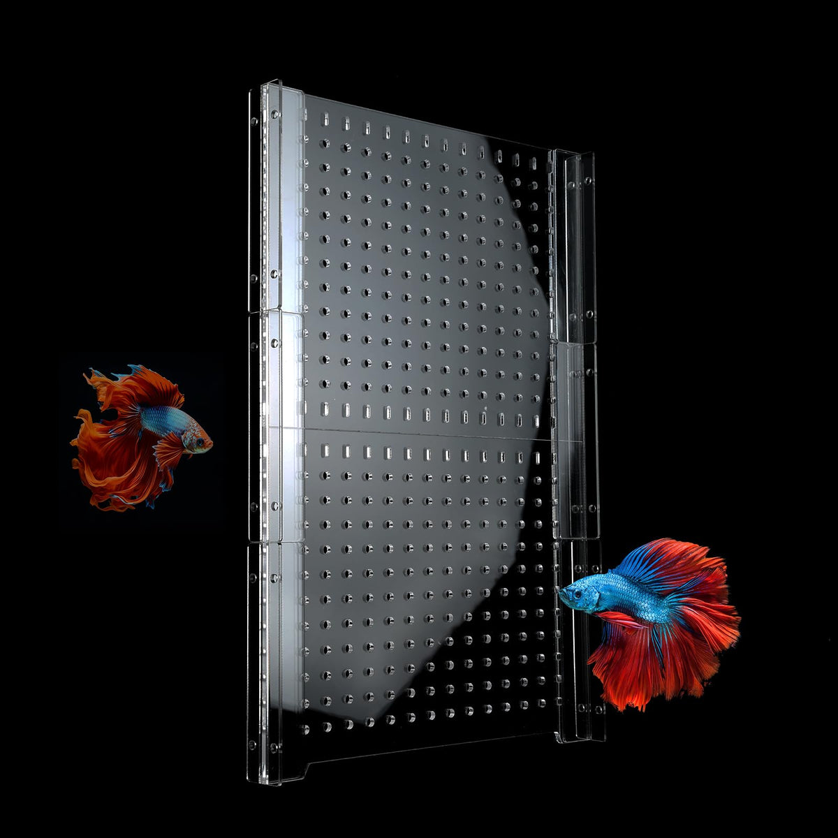 Acrylic Fish Tank Divider with Suction Cups H42526