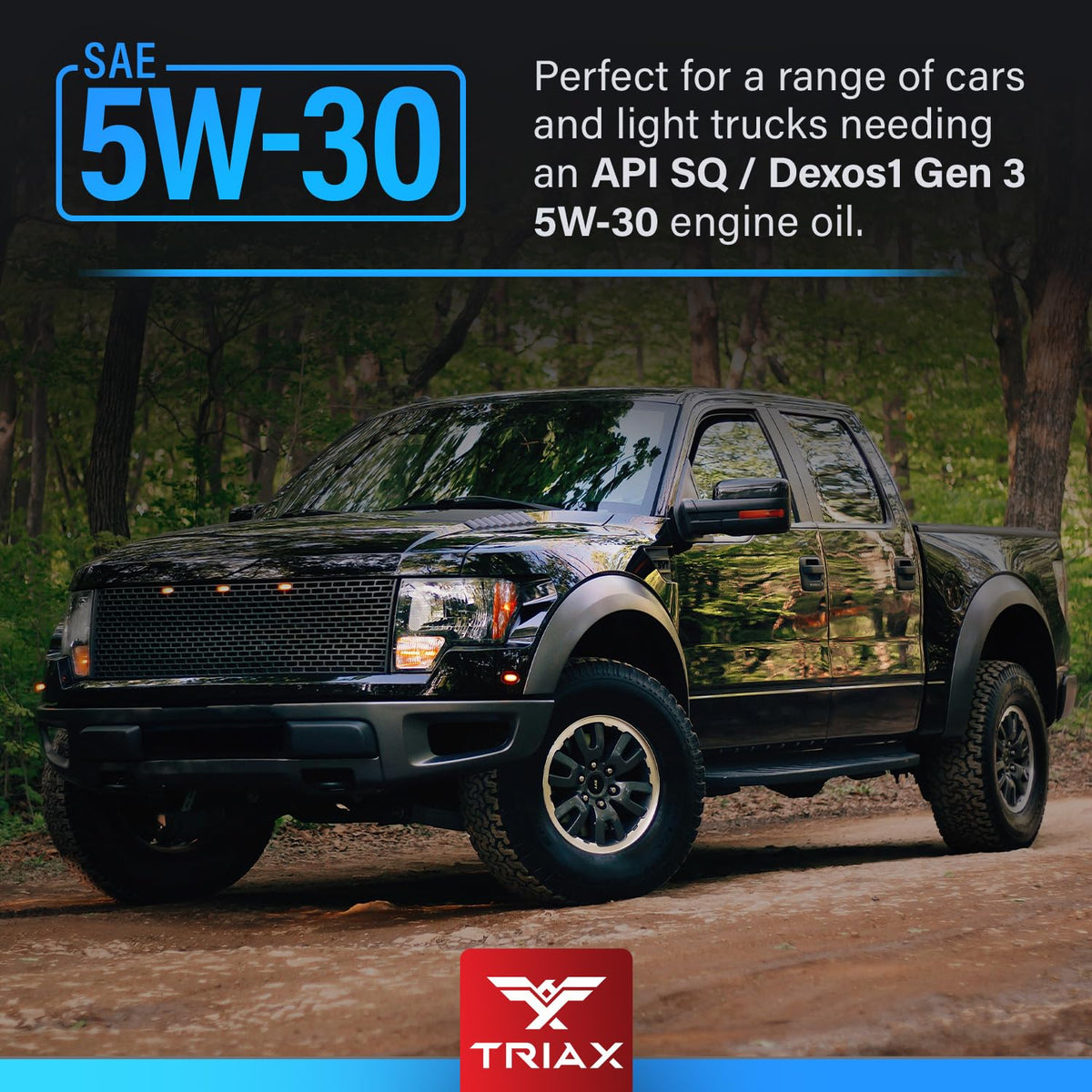 5W-30 Full Synthetic 5 Quart V2399