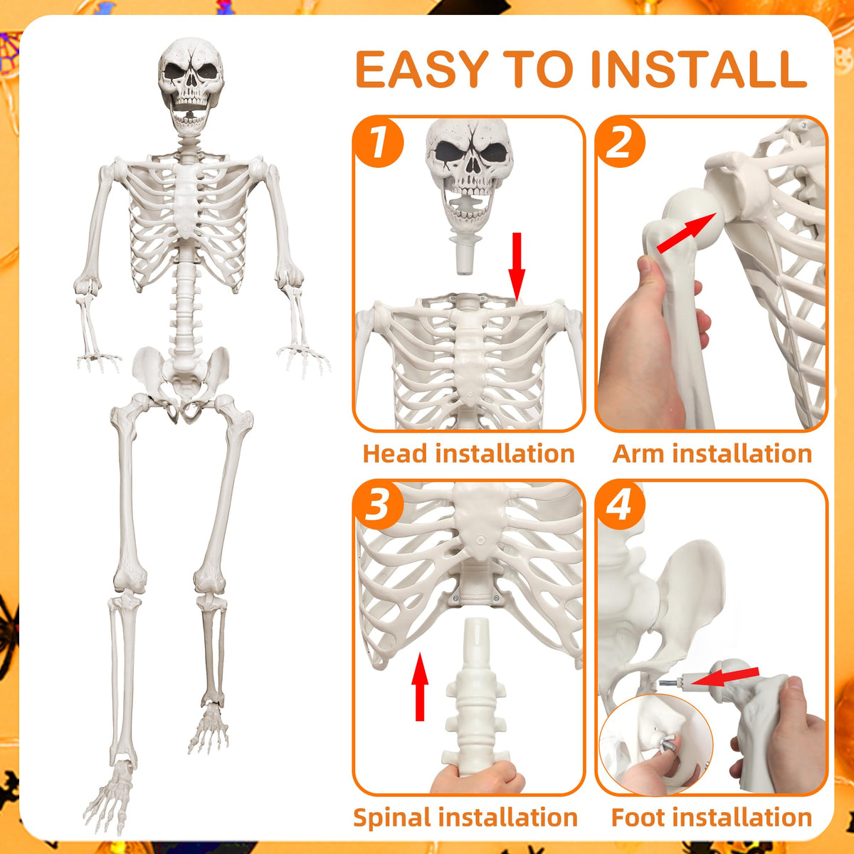 5.4ft Life Size Skeleton with Movable Joints M5292