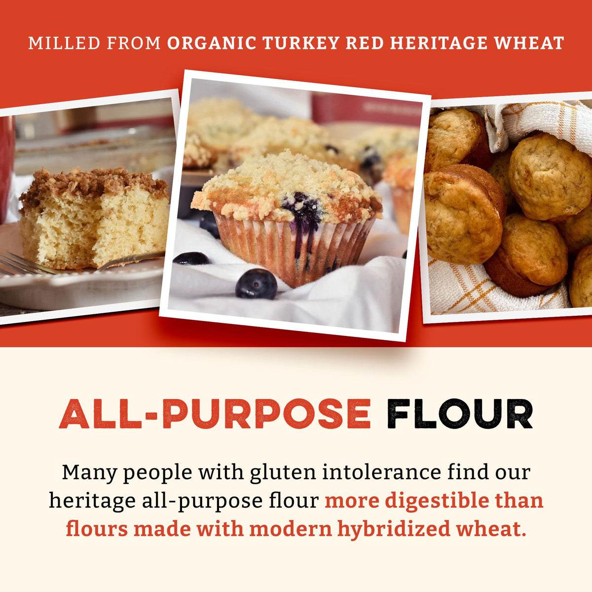 Organic White All Purpose Flour Unbleached Non-GMO Kosher 400 Ounce A6152