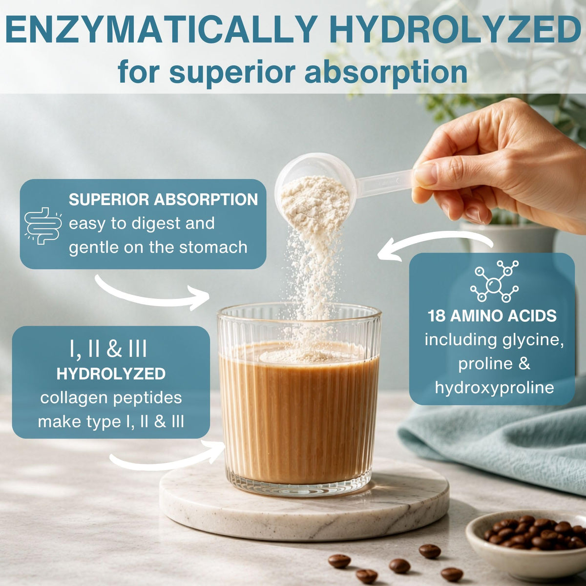 Hydrolyzed Bovine Collagen Peptides L17463