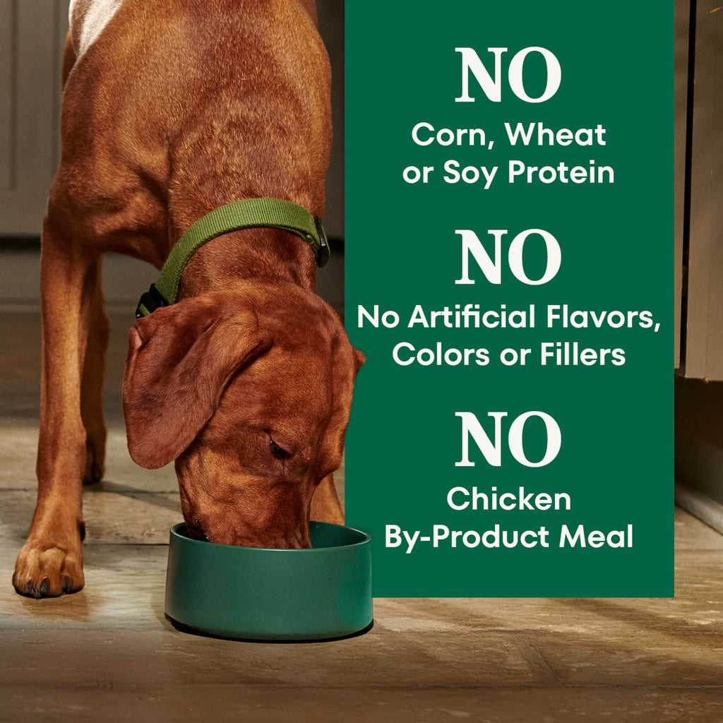 Adult Dry Dog Food, Lamb & Brown Rice Recipe, 36 lb K398