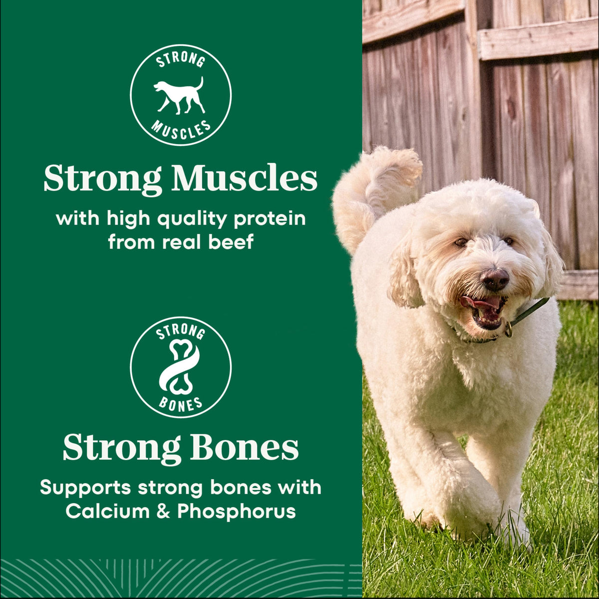 Adult Dry Dog Food, Lamb & Brown Rice Recipe, 36 lb K398