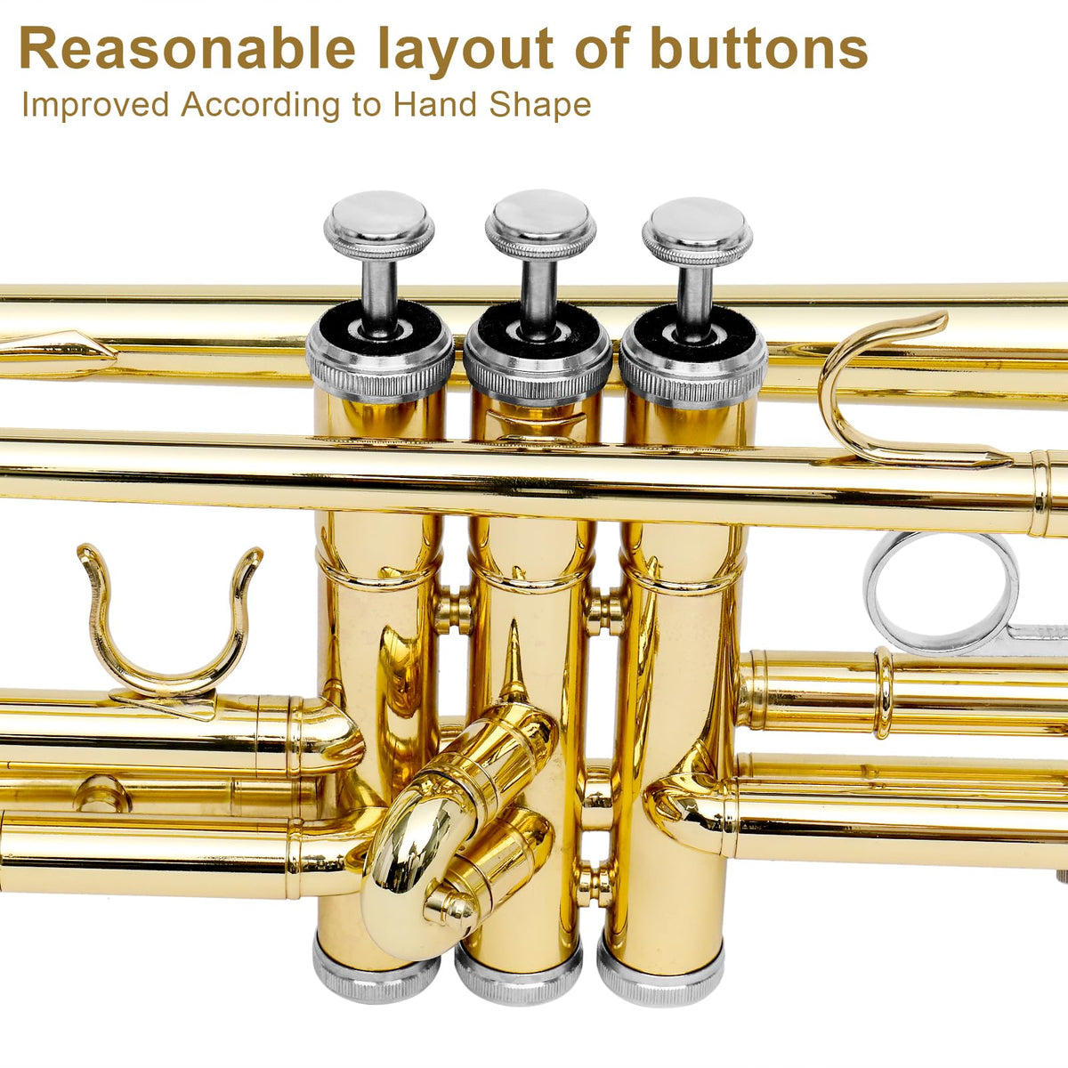 Bb Standard Trumpet Set Z389328