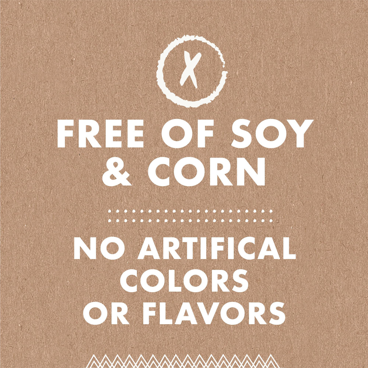 Soft & Chewy Bacon Dog Treats 10 oz U695550
