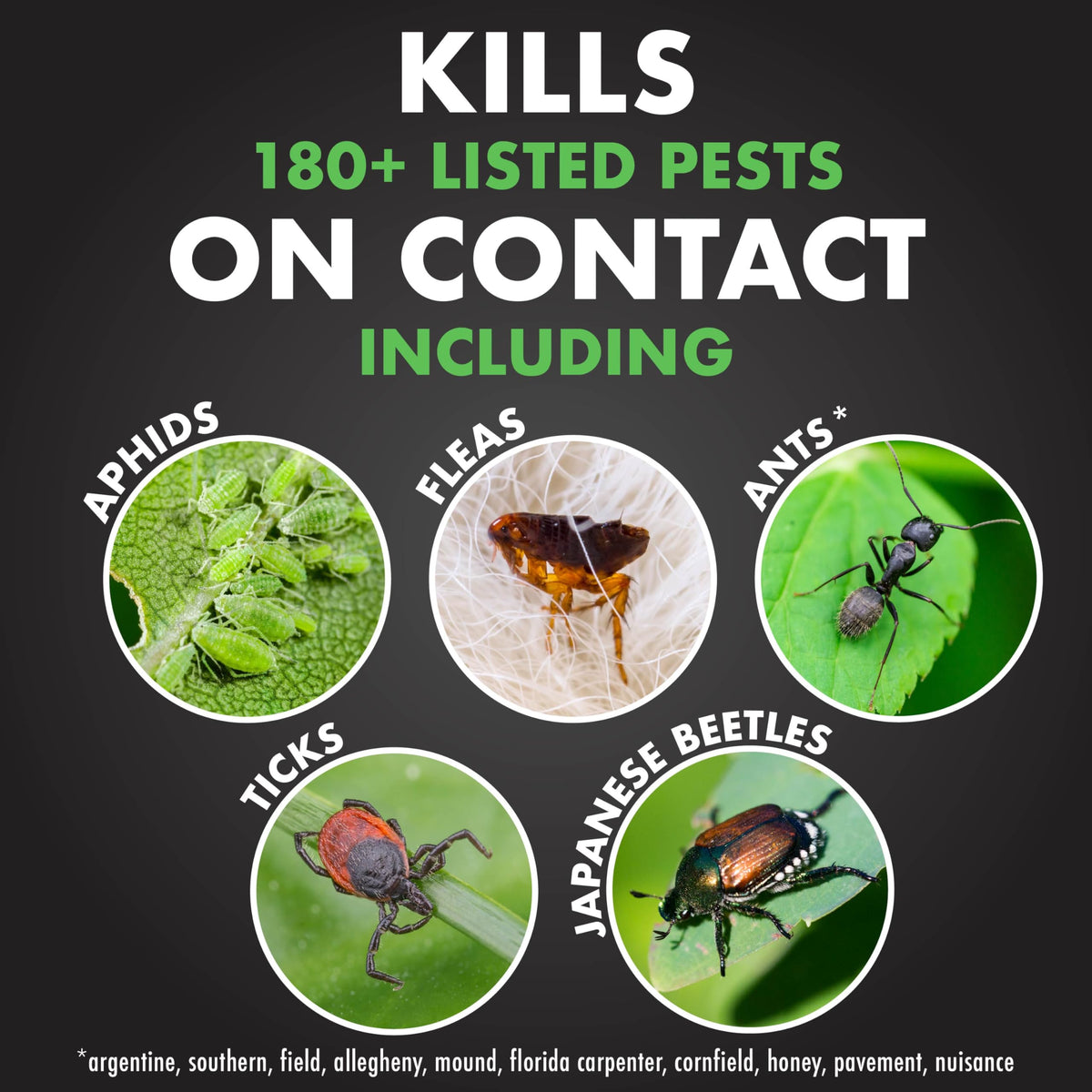 Insect Killer for Lawns & Landscapes 1Gal I805573