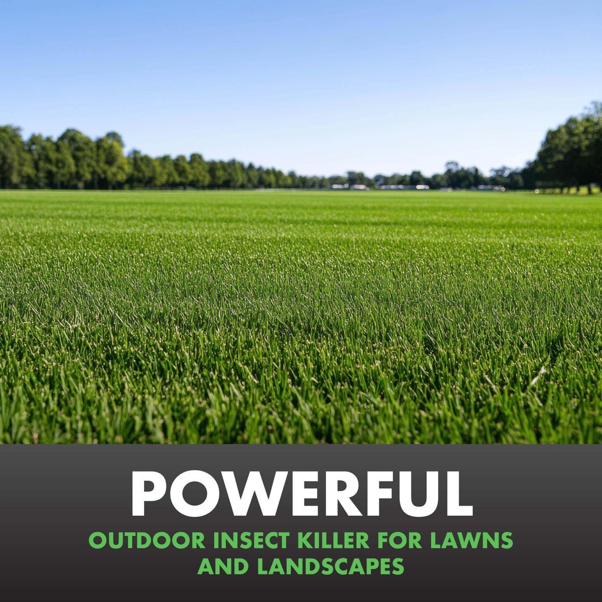 Insect Killer for Lawns & Landscapes 1Gal I805573