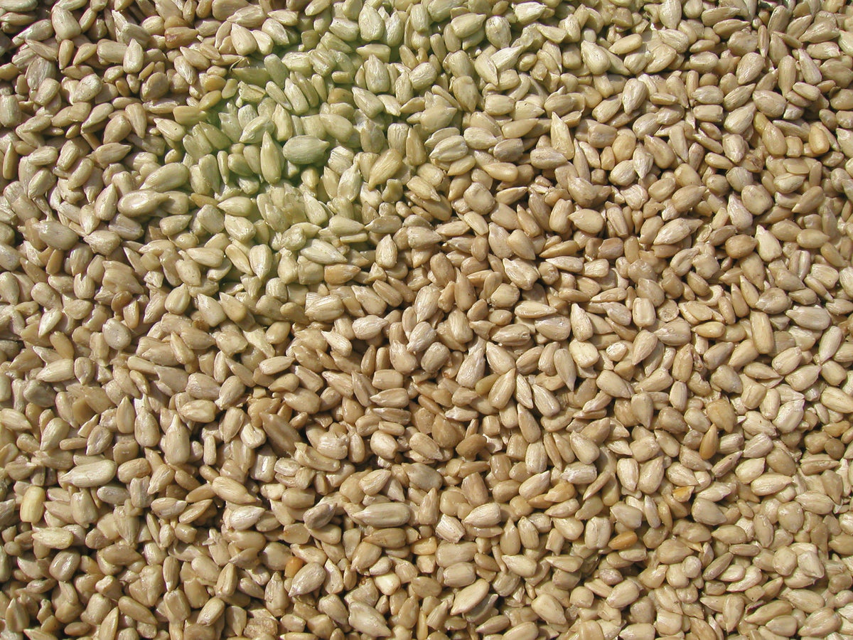 Sunflower Meats Bird Seed 20-Pound Y218217